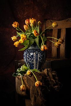 Tulips in the evening light.