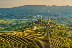 Das Dorf Grinzane Cavour und die Weinberge der Langhe bei Sonnenuntergang, Piemont