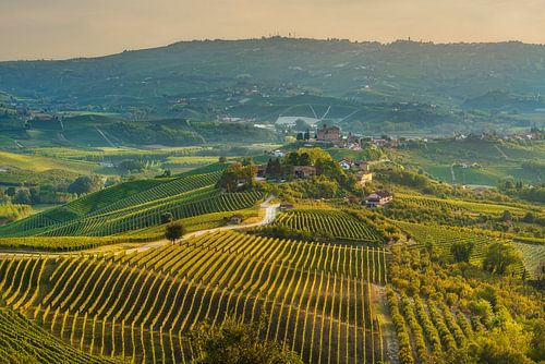 Grinzane Cavour Village and Langhe Vineyards at Sunset, Piedmont