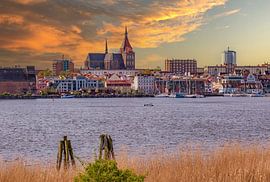 Gezicht op de Hanzestad Rostock aan de Oostzee in Mecklenburg-Vorpommern van Animaflora PicsStock