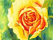 Gele roos aquarel van Karen Kaspar thumbnail
