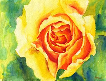 Gelbe Rose Aquarell von Karen Kaspar