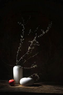 Spring Still Life by Saskia Dingemans Awarded Photographer