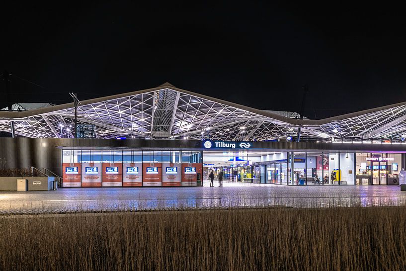 Tilburg station van Freddie de Roeck