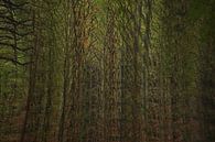 Spookachtig bos (meervoudige belichting) van Anne Ponsen thumbnail