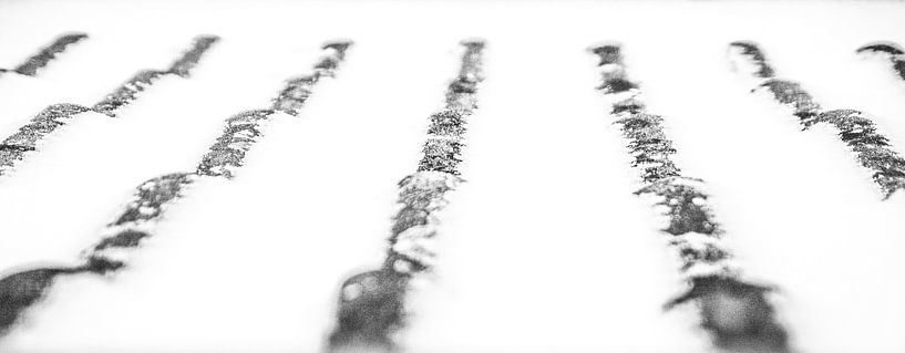 Expérience en noir et blanc gris (photo grand écran) par Norbert Sülzner
