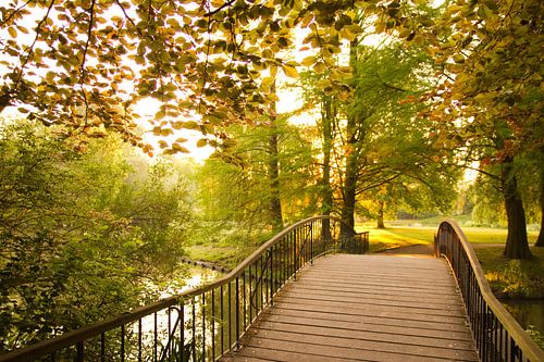 Pont