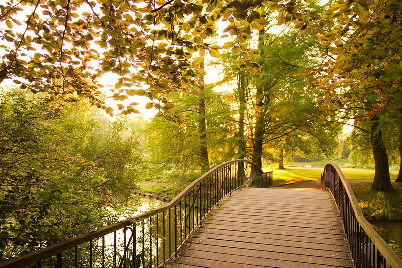 Bridge by Remi van der Auwera