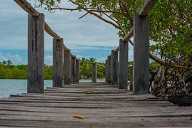 Wooden deck by the Jacuípe River in Bahia Brazil by Castro Sanderson