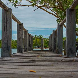 Houten dek door de Jacuípe-rivier in Bahia Brazilië van Castro Sanderson