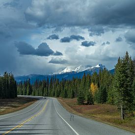 En route vers le parc national de Banff sur Samantha van Leeuwen