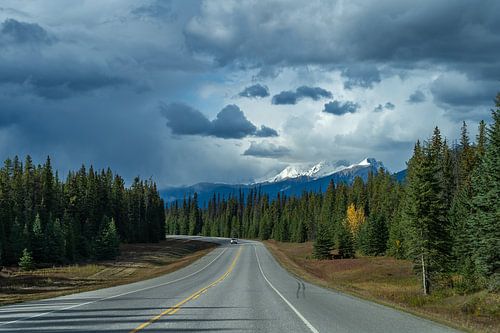 On the way to Banff National Park