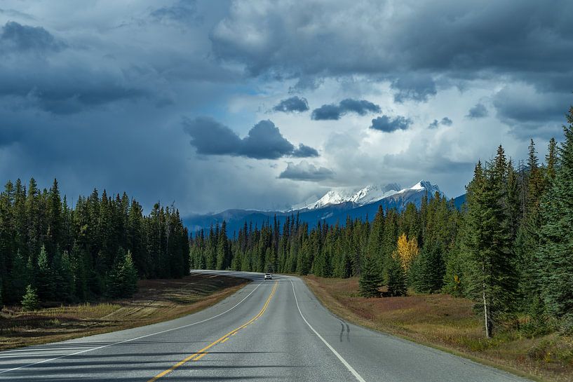 En route vers le parc national de Banff par Samantha van Leeuwen
