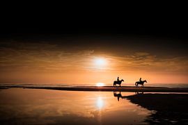 Horses on the beach by Bob Daalder