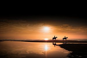 Pferde am Strand