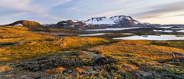 Jotunheimen Norway by Rainer Mirau