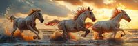 Seahorses