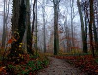 Herfst in proces