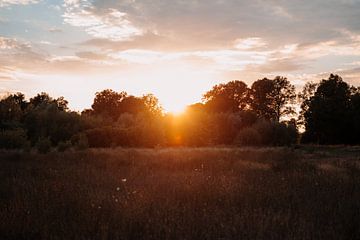 Horizon van Betovering: Zonsondergang over de Achterhoekse Wildernis van Heleen. Visual Storytelling