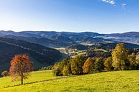 Herbst im Hochschwarzwald bei St. Peter