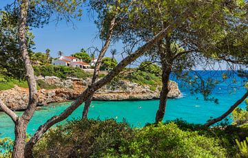 Prachtig uitzicht op het strand van de baai van Cala Anguila op Mallorca van Alex Winter