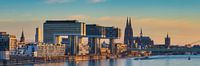Keulen van Walter G. Allgöwer thumbnail