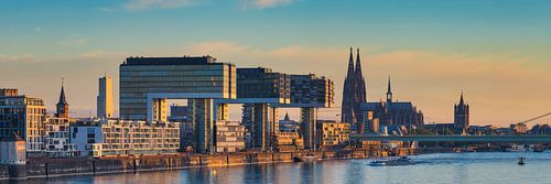 Cologne