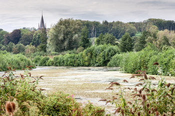 Sint Pieterskerk Maastricht