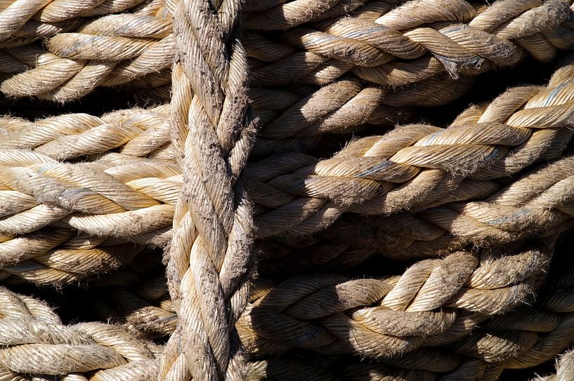 Braunes Fachwerk 2 von Europhoto Netherlands