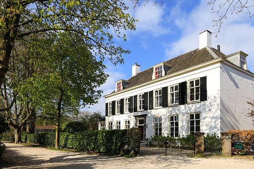 Huis Rhijnlust in Oog in Al te Utrecht (kleur)
