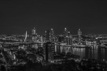 Het uitzicht op de skyline van Rotterdam