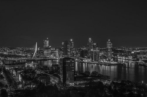 Het uitzicht op de skyline van Rotterdam