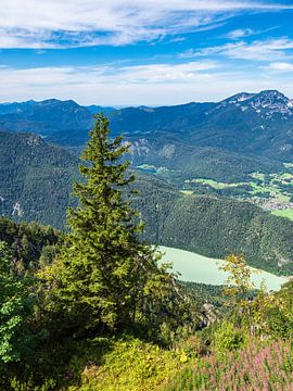 Uitzicht vanaf de top van de Prediktstuhl in Berchtesgadener Land