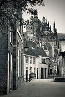 In den Boerenmouw Den Bosch, met uitzicht op de Sint Jan