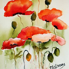 Red poppies by Rita Tielemans Kunst