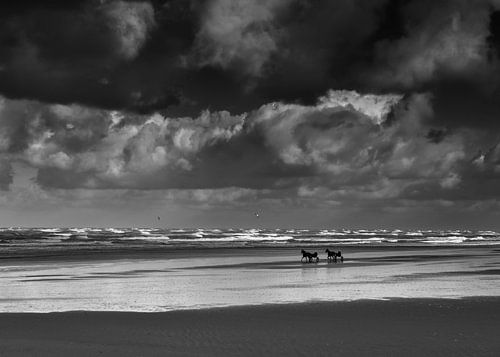 Sur la plage