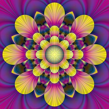 Blume im Sonnenlicht