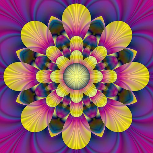 Blume im Sonnenlicht