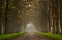 Début brumeux dans l'Achterhoek