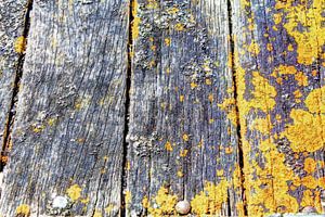 Rustic Wooden Planks