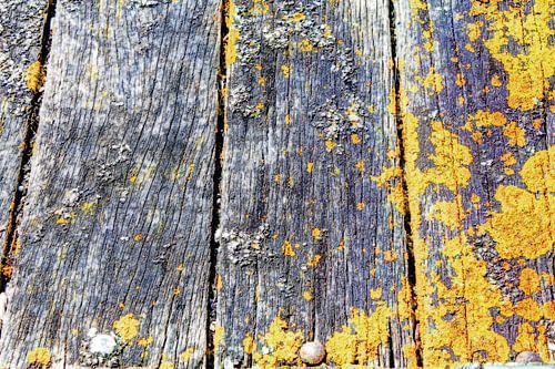 Planches en bois rustique
