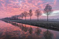 Een perfecte zonsondergang aan het water #2 van Edwin Mooijaart thumbnail