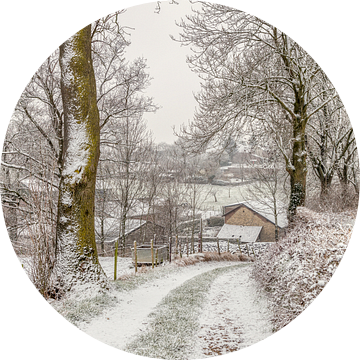 Winter 2017 in Bosschenhuizen van John Kreukniet