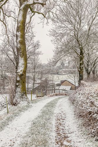 Winter 2017 in Bosschenhuizen