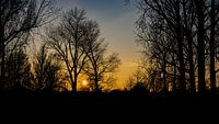 Zonsondergang achter bomen