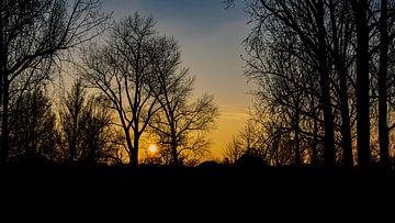 Zonsondergang achter bomen van Sjaak Boer