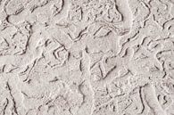 Houtworm pariëtale kunst - grot kunst - abstract - graffiti - Keith Haring van John Quendag thumbnail