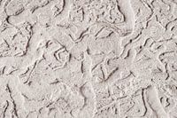 Houtworm pariëtale kunst - grot kunst - abstract - graffiti - Keith Haring