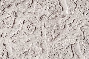 Art pariétal des vers à bois - art rupestre - abstrait -  graffiti - Keith Haring sur John Quendag