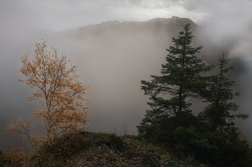Brouillard au Gaishorn